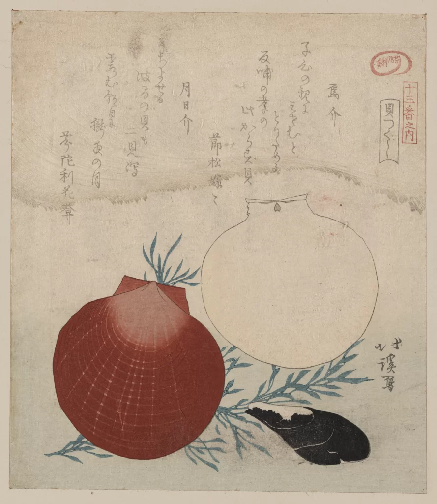 Seashells Japanese Art Calligraphy Ink Wash Painting Nature