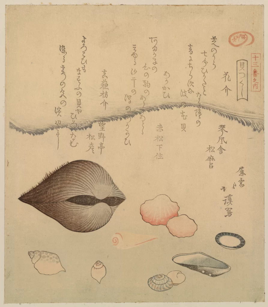 Seashells Japanese Calligraphy Ocean Waves Shellfish Art