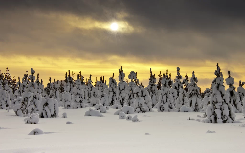 Snow trees winter landscape sunlight clouds
