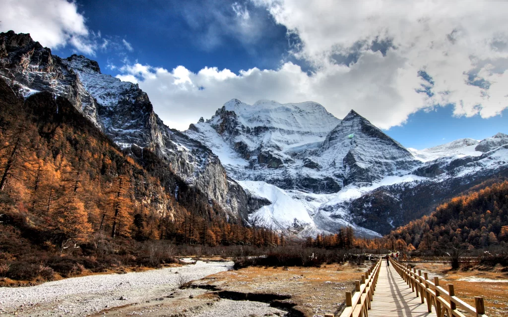 Snowy Mountain Autumn Trees Clear Sky Wooden Path