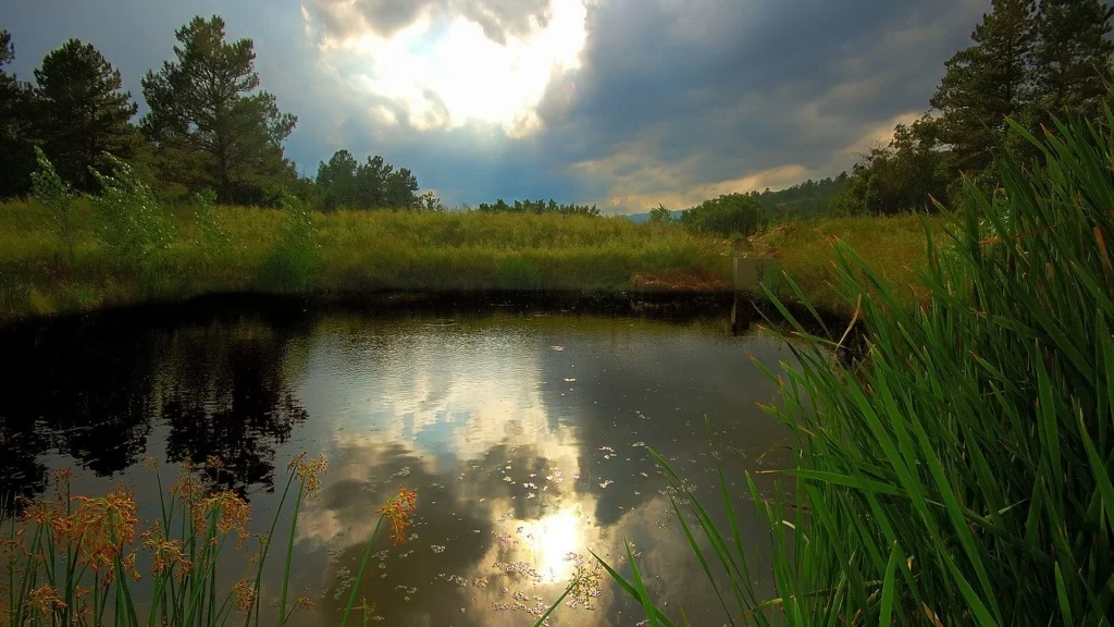 Sunlight clouds pond reflection grass trees
