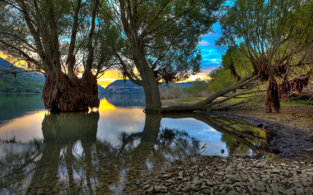 Sunset Nature Trees Water Reflections Tranquility