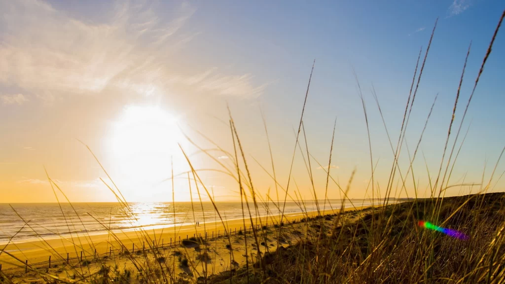 Sunset beach grass ocean sky clouds