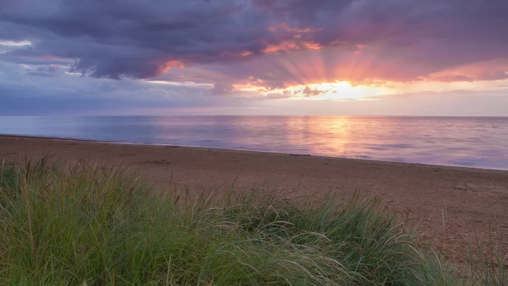 Sunset beach ocean clouds grass sky