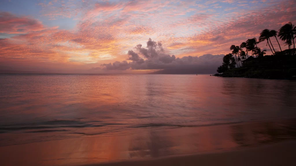 Sunset beach ocean palm trees sky clouds