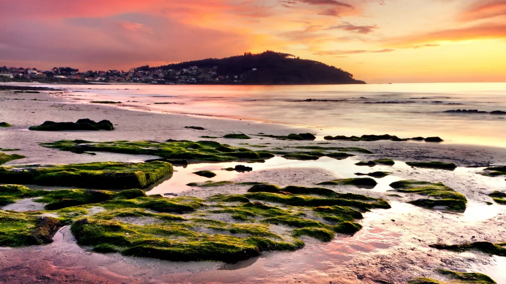 Sunset beach ocean rocks green sky clouds horizon