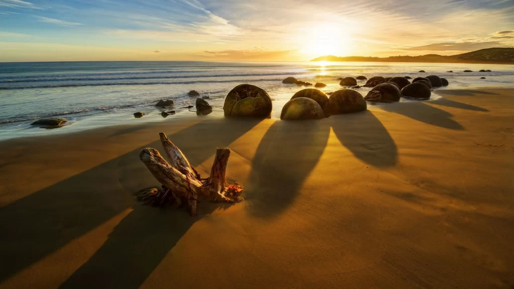 Sunset beach ocean rocks shadows driftwood