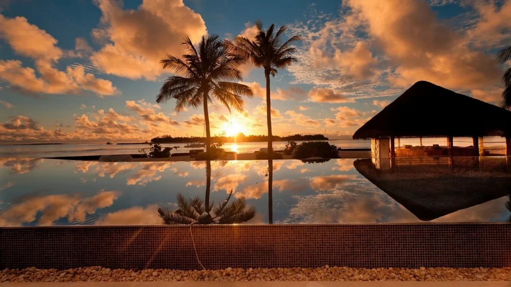 Sunset beach palm trees infinity pool gazebo ocean