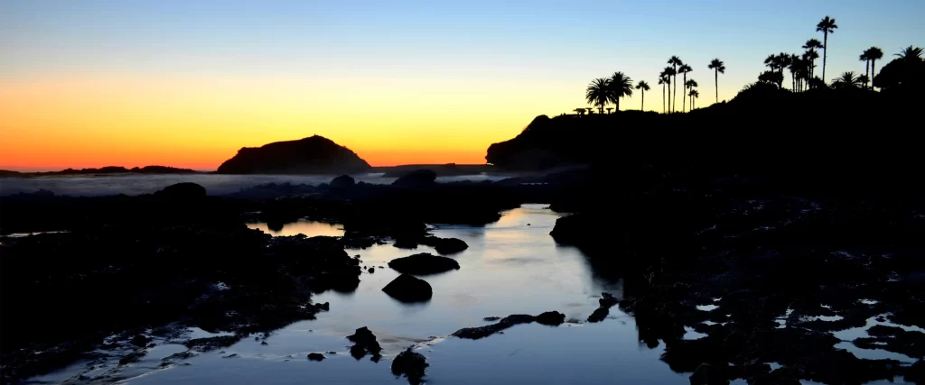 Sunset, beach, rocks, water, palm trees, sky