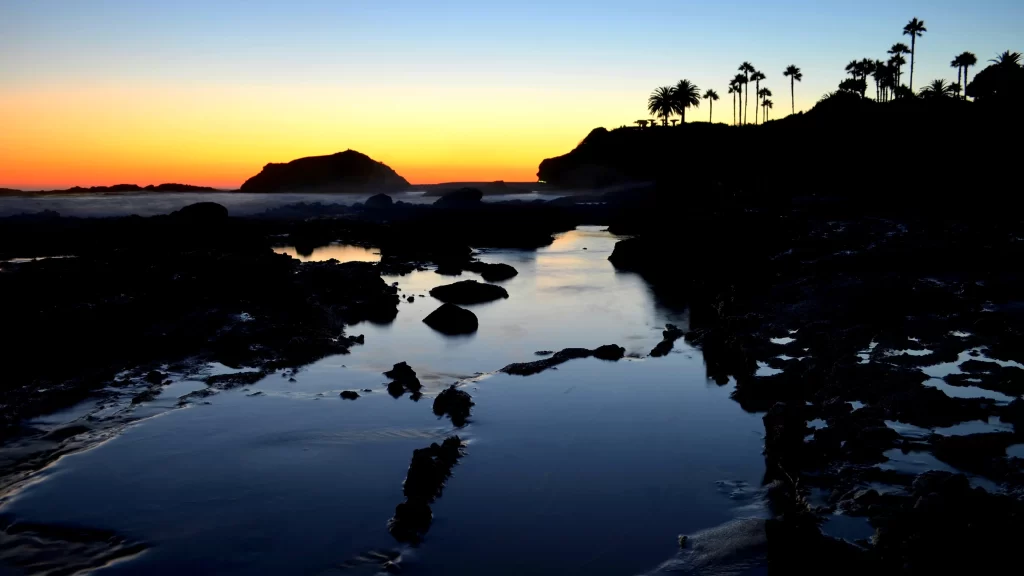 Sunset beach rocks water sky palm trees