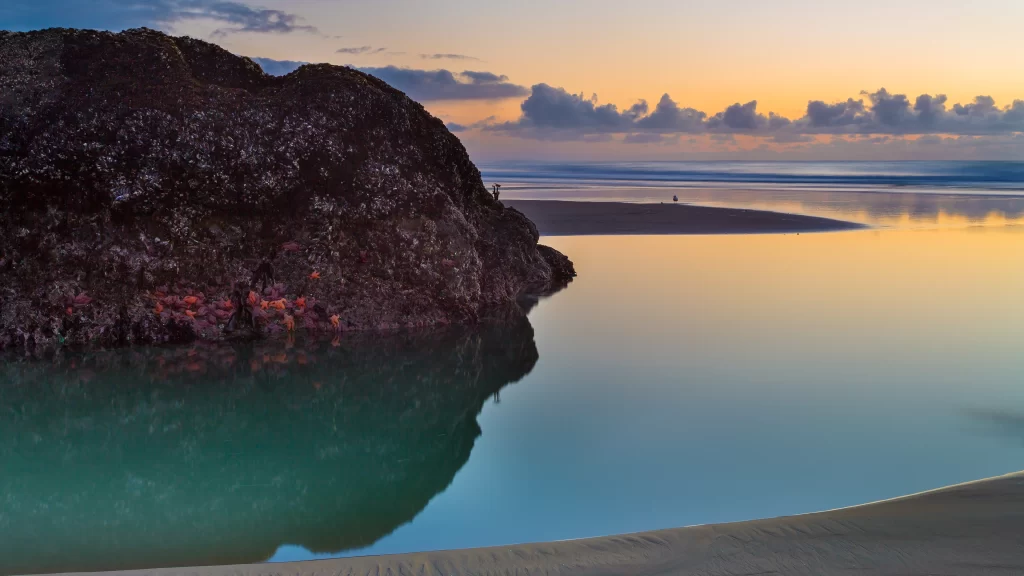 Sunset beach water reflection clouds tranquility