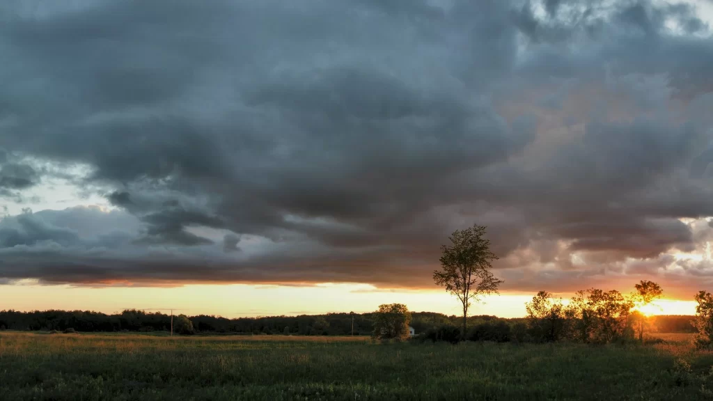 Sunset clouds field trees sky landscape