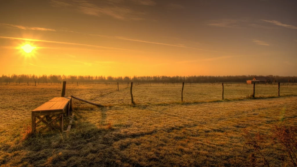 Sunset field bench fence trees sky