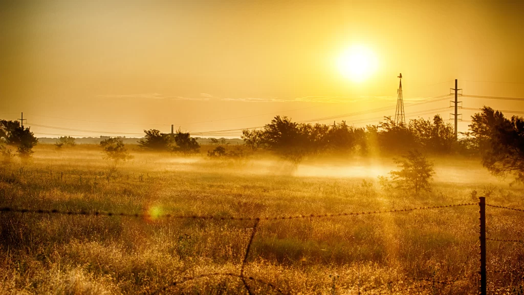 Sunset field mist trees fence power lines
