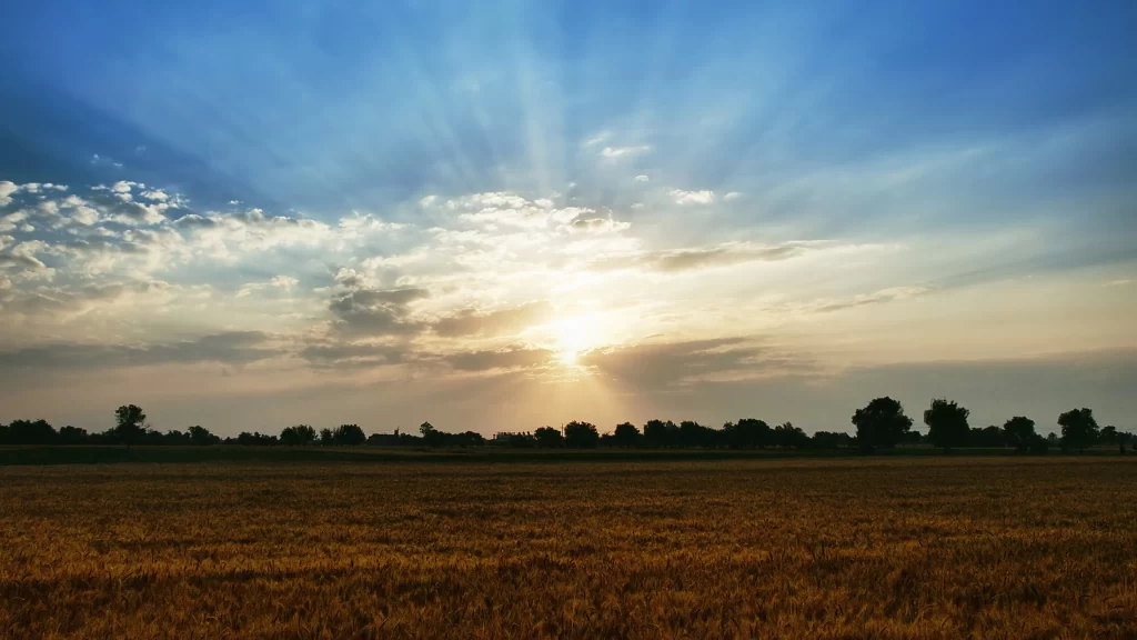 Sunset field sky clouds golden tranquil