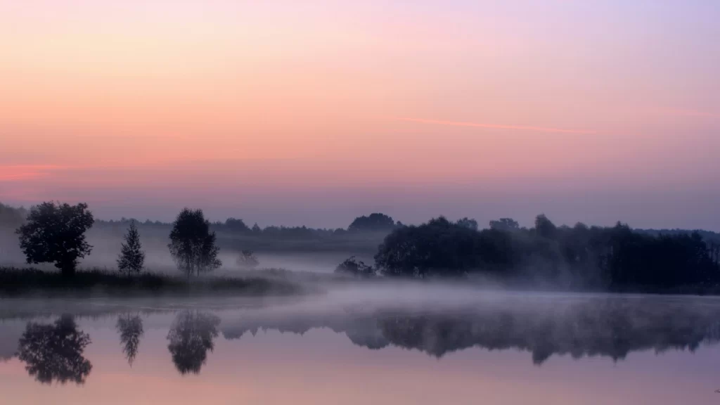 Sunset lake mist trees reflection tranquil