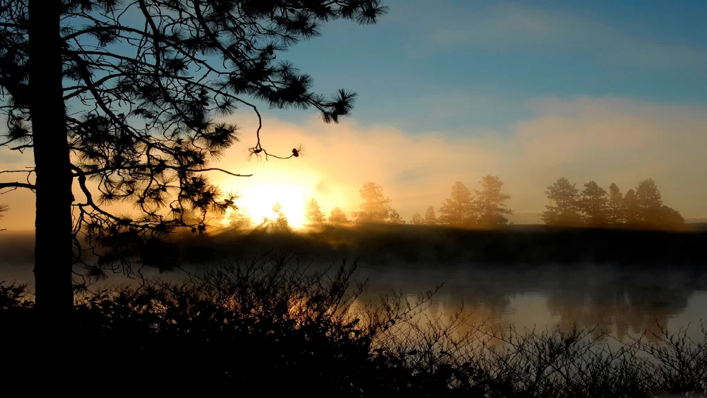 Sunset lake trees mist reflection tranquility
