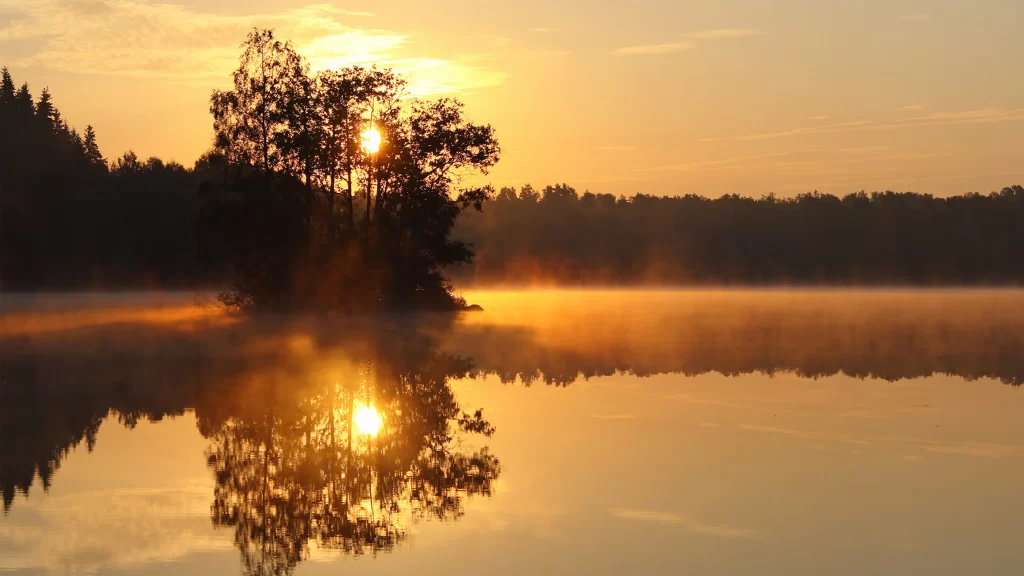 Sunset lake trees reflection mist tranquility