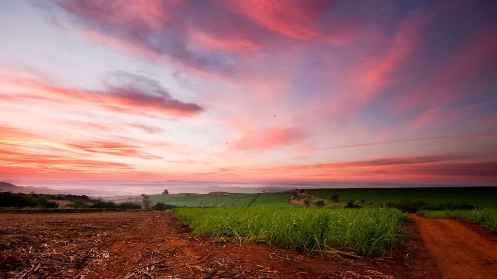 Sunset landscape field sky clouds path
