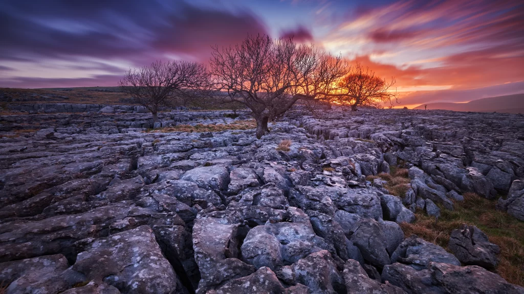 Sunset landscape rocks trees sky colors