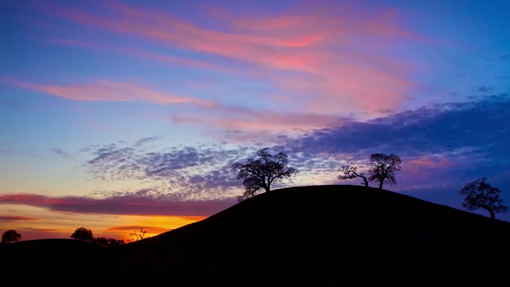 Sunset landscape trees sky clouds colors