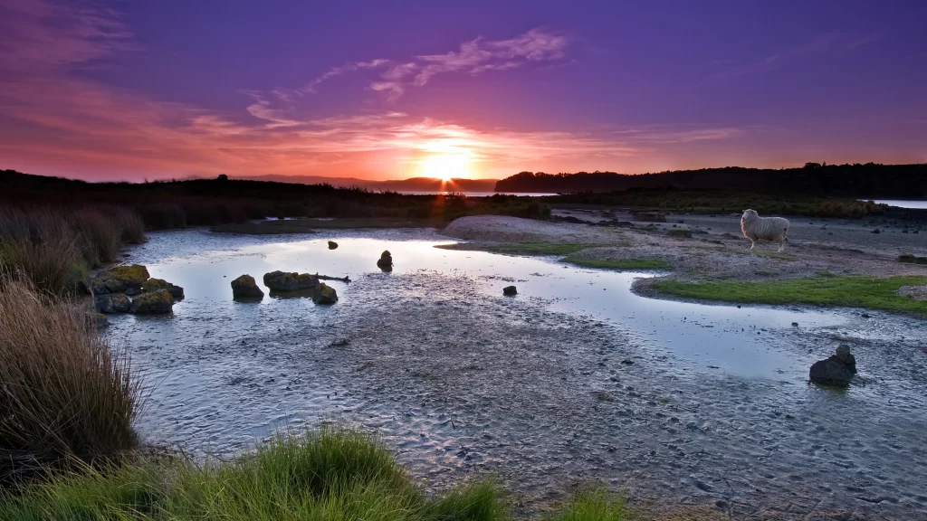 Sunset landscape water grass sky clouds