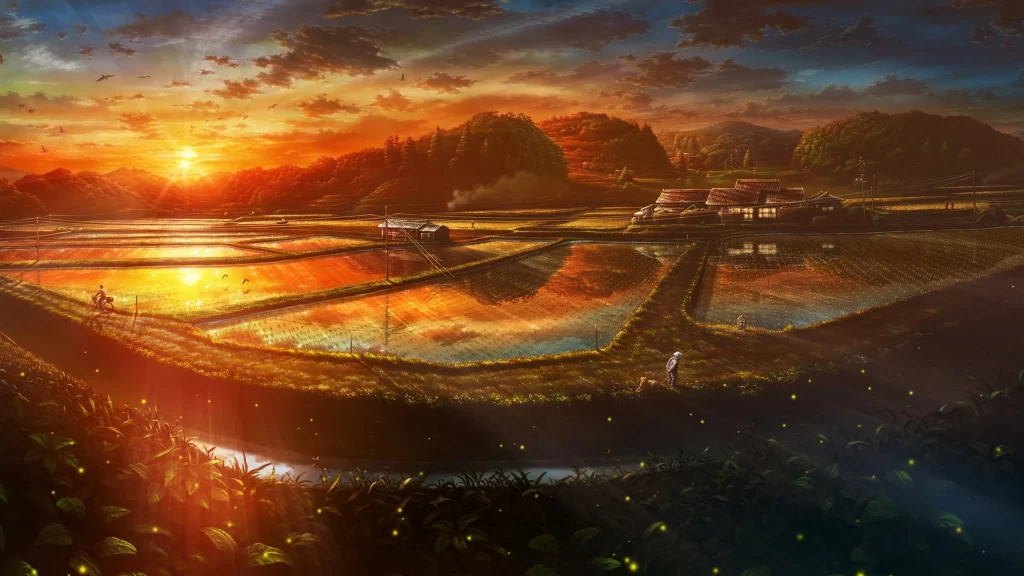 Sunset landscape water reflection fields sky clouds tranquility