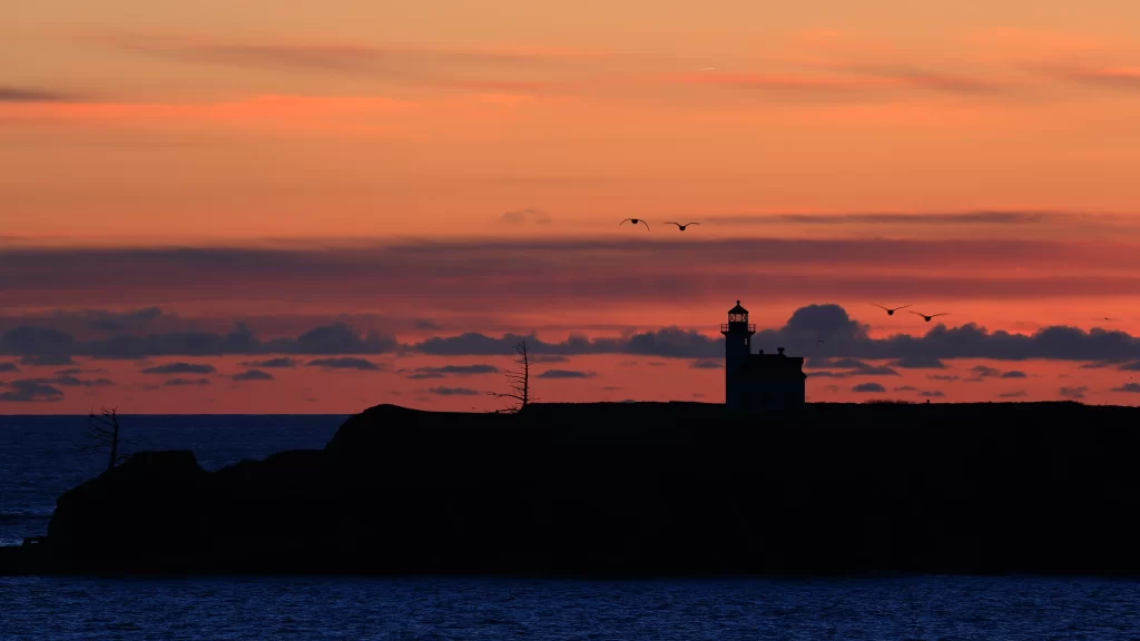 Sunset lighthouse ocean birds clouds horizon
