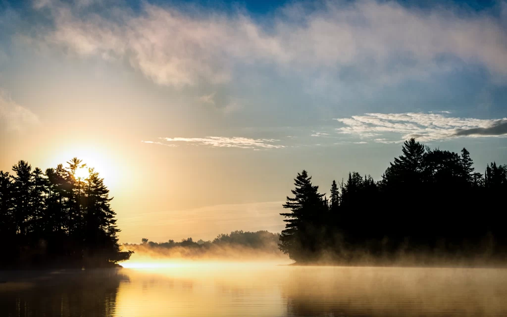 Sunset mist lake trees reflection tranquil