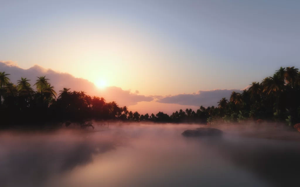 Sunset mist palm trees river tranquil nature