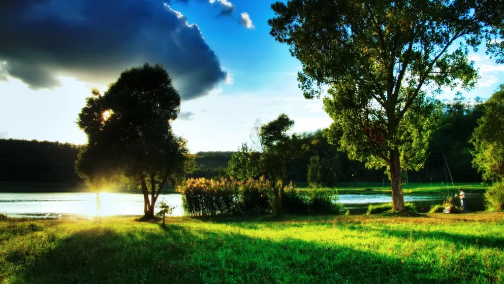 Sunset nature lake trees grass clouds