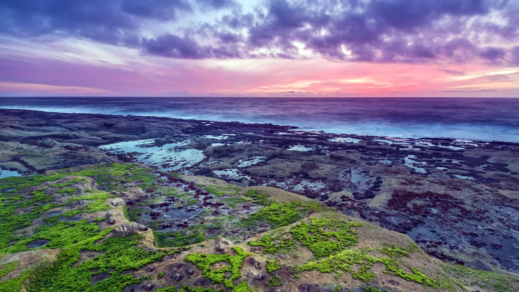 Sunset ocean rocks clouds greenery horizon