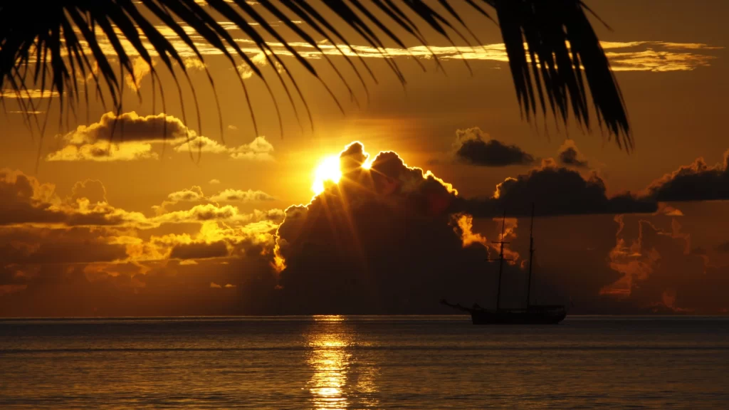 Sunset ocean sailboat clouds reflection palm leaves