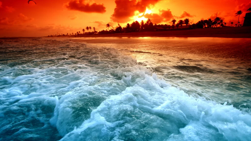 Sunset ocean waves beach palm trees sky clouds horizon
