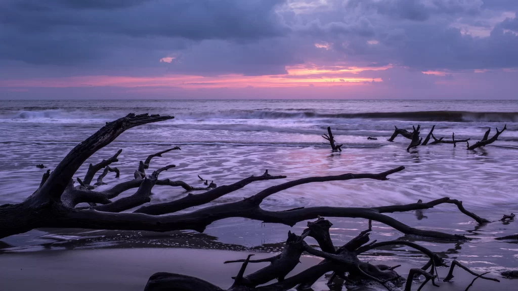Sunset ocean waves driftwood clouds horizon