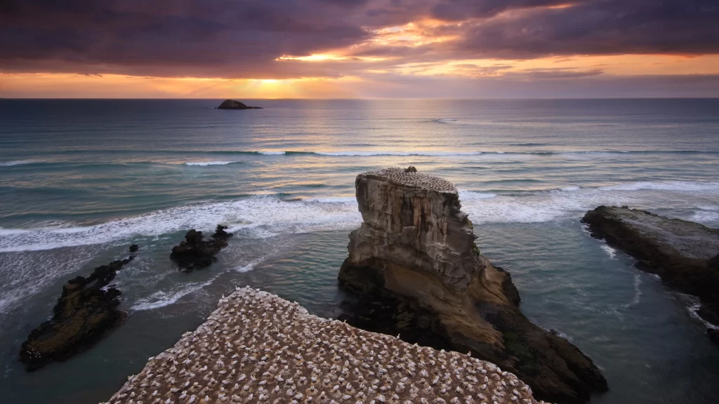 Sunset ocean waves rock formations birds sky clouds horizon
