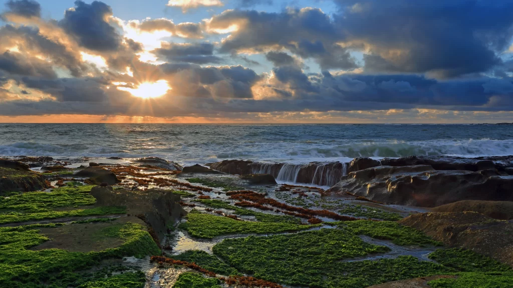 Sunset ocean waves rocks clouds greenery