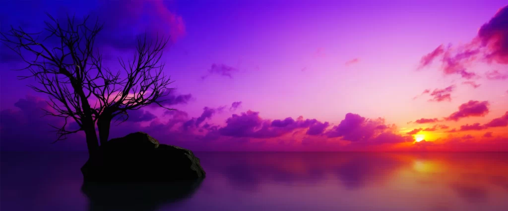 Sunset, purple sky, tree, calm water, clouds, reflection