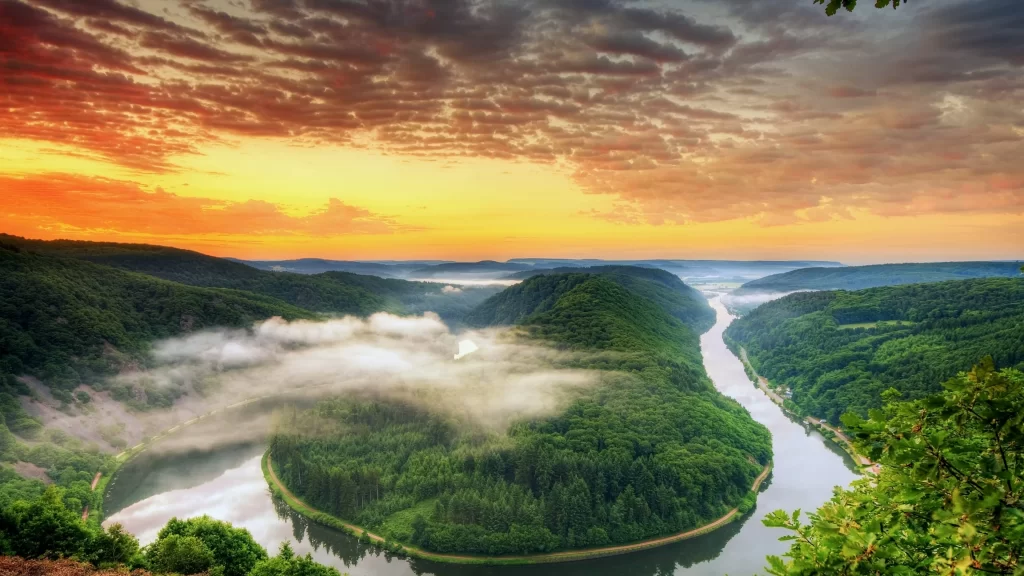 Sunset river mist forest landscape nature