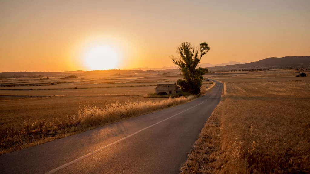 Sunset road fields tree house landscape
