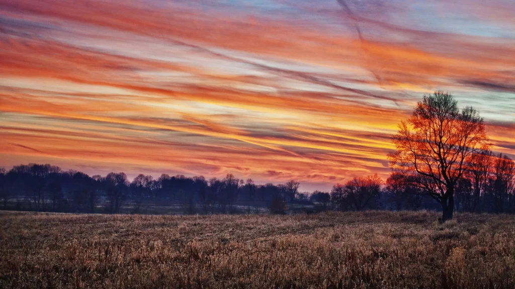 Sunset sky clouds field tree landscape
