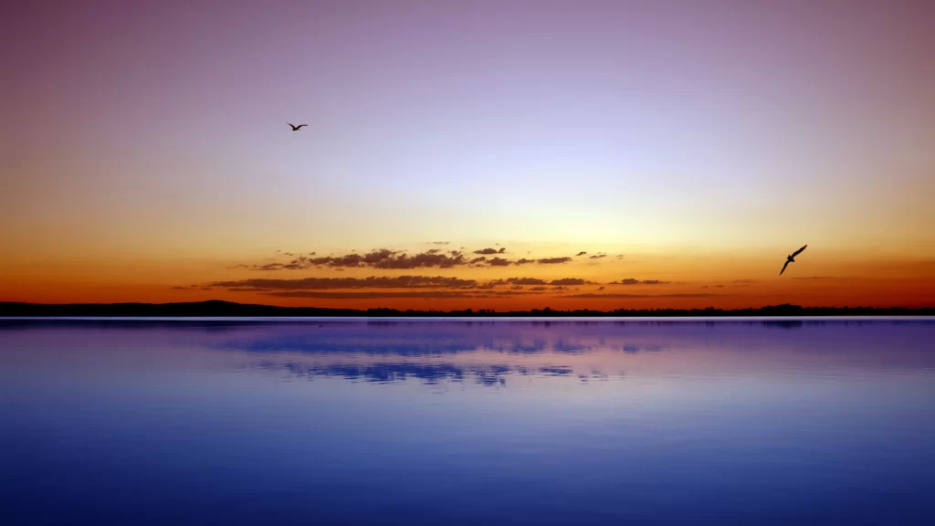 Sunset sky water reflection birds horizon