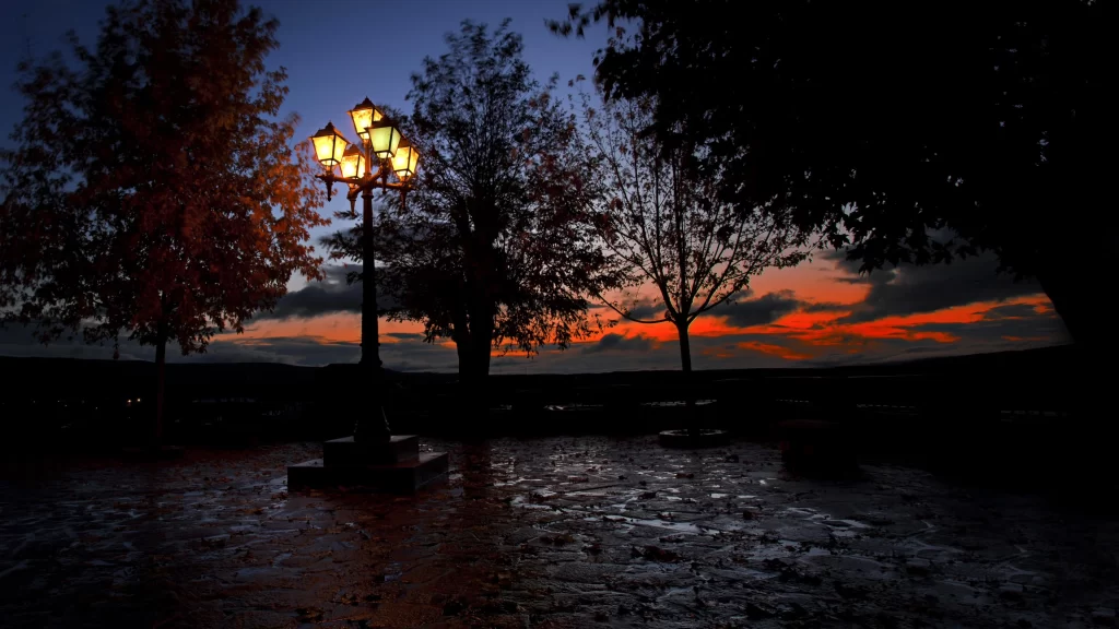 Sunset street lamp trees sky clouds wet ground