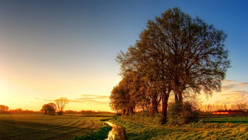 Sunset trees field stream sky clouds