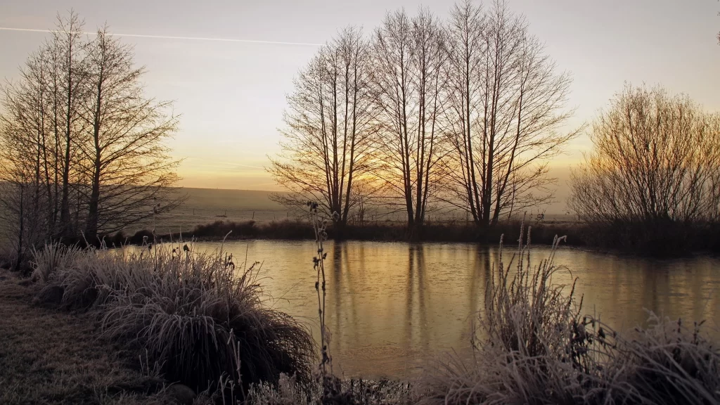 Sunset trees reflection water frost landscape