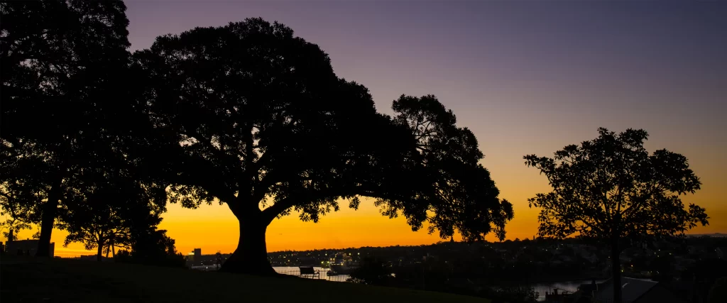 Sunset, trees, silhouette, sky, cityscape, tranquil