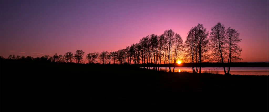 Sunset, trees, silhouette, sky, water, reflection