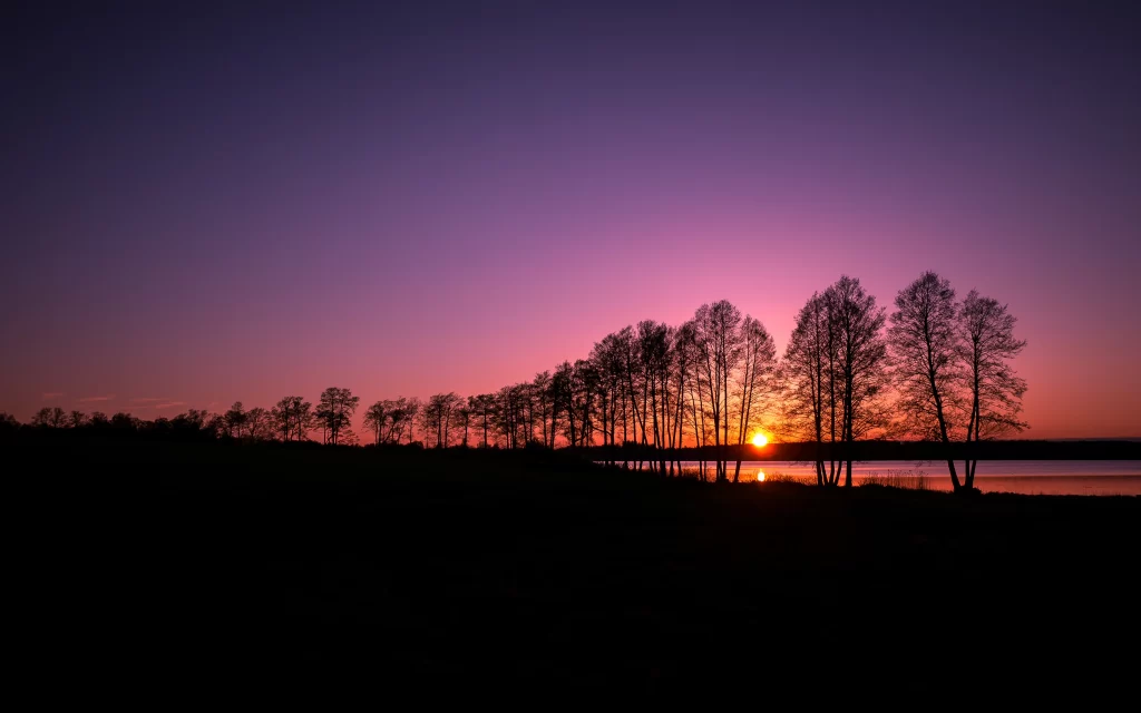 Sunset trees sky water horizon silhouette colors tranquility