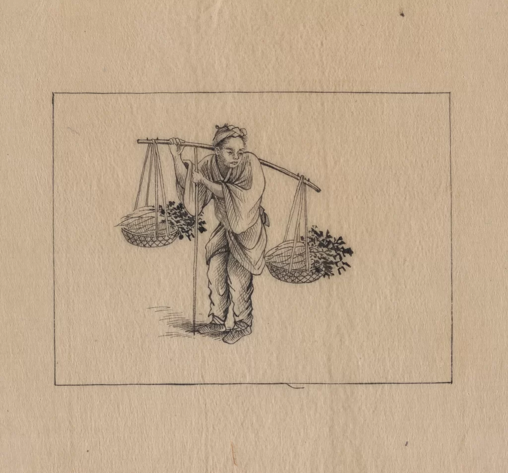 Traditional Carrying Baskets Balance Historical Labor