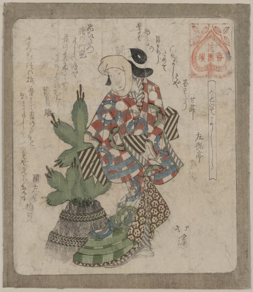 Traditional Japanese Art Ukiyoe Costume Nature